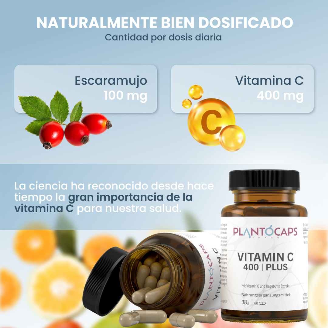 plantoCAPS VITAMIN C 400 PLUS Capsules 60 pcs - Ingredients