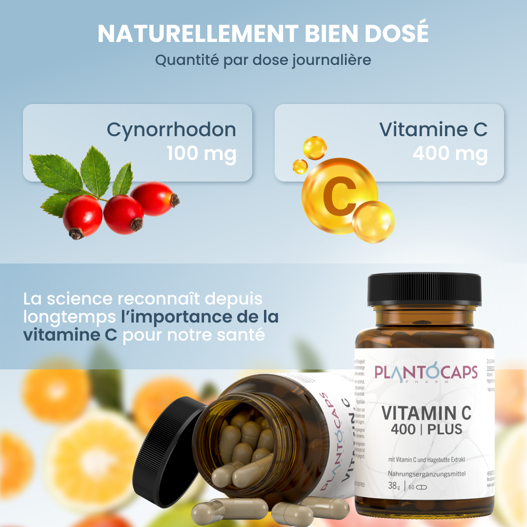 plantoCAPS VITAMIN C 400 PLUS Capsules 60 pcs - Ingredients