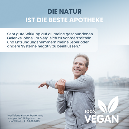 WEIHRAUCH BOSWELLIA | PLUS Kapseln