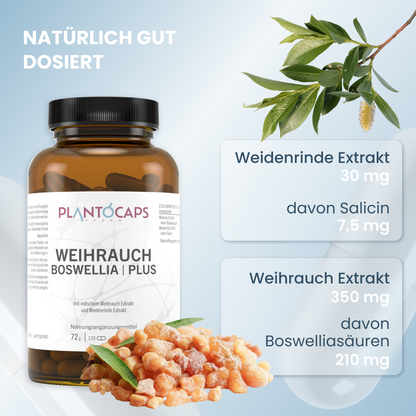 WEIHRAUCH BOSWELLIA | PLUS Kapseln