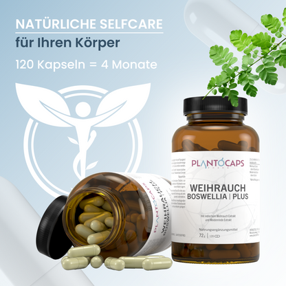 WEIHRAUCH BOSWELLIA | PLUS Kapseln