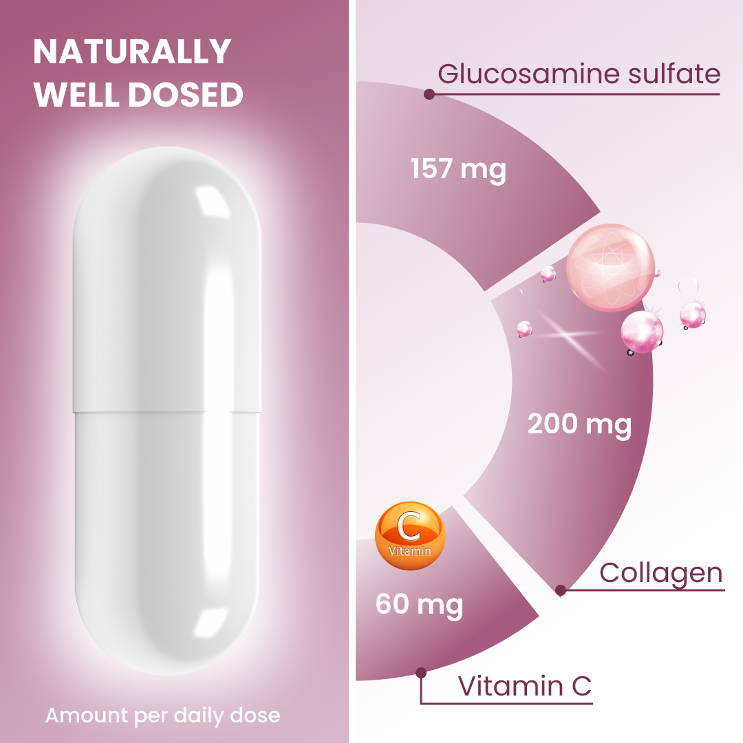 plantoCAPS WELLDISC PLUS Capsules 60 pcs - Ingredients