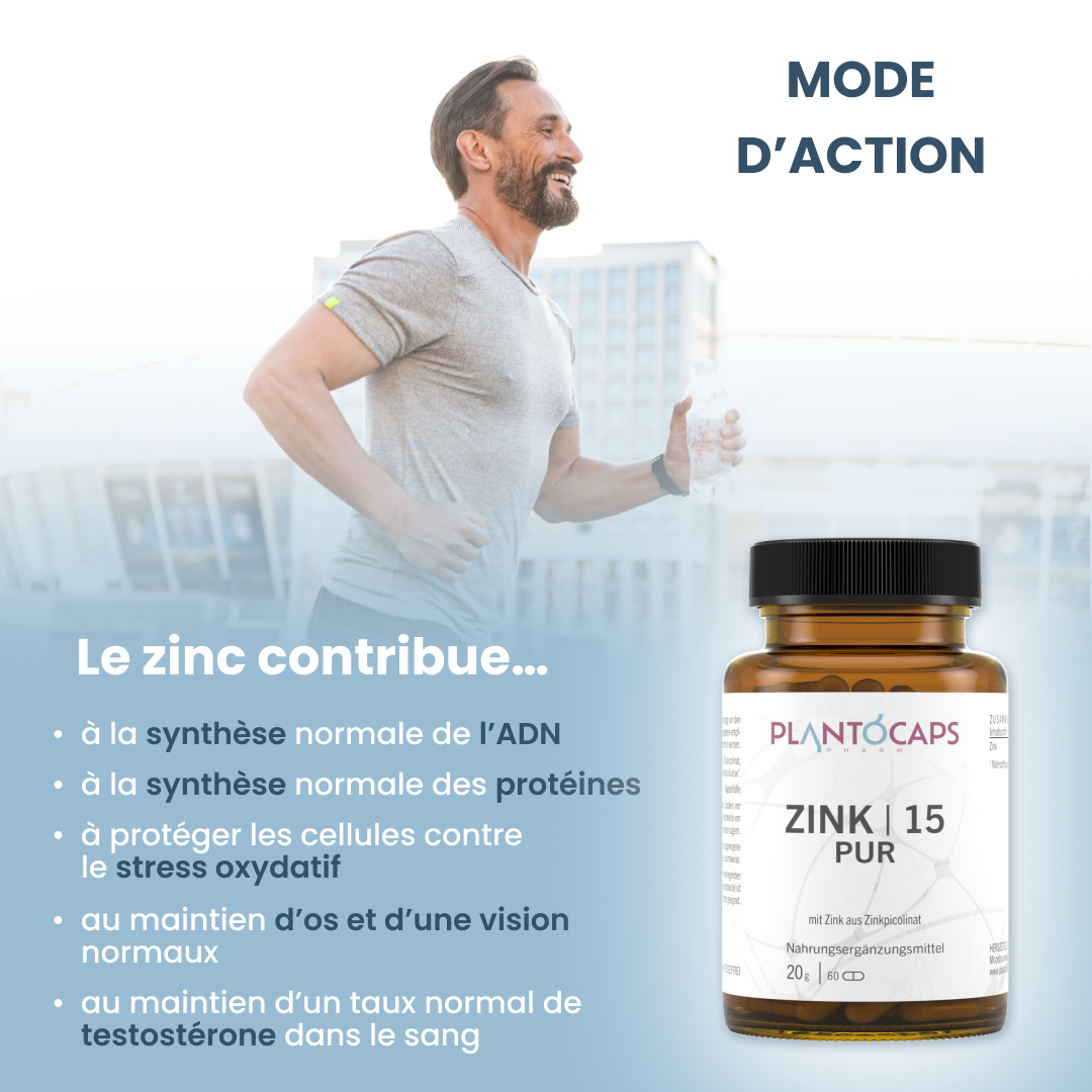 plantoCAPS ZINK 15 PUR Capsules 60 pcs - How It Works
