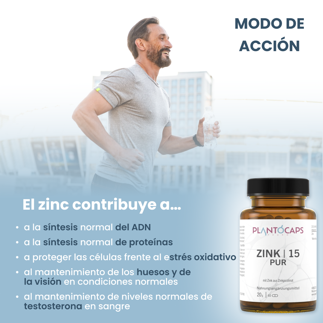 plantoCAPS ZINK 15 PUR Capsules 60 pcs - How It Works